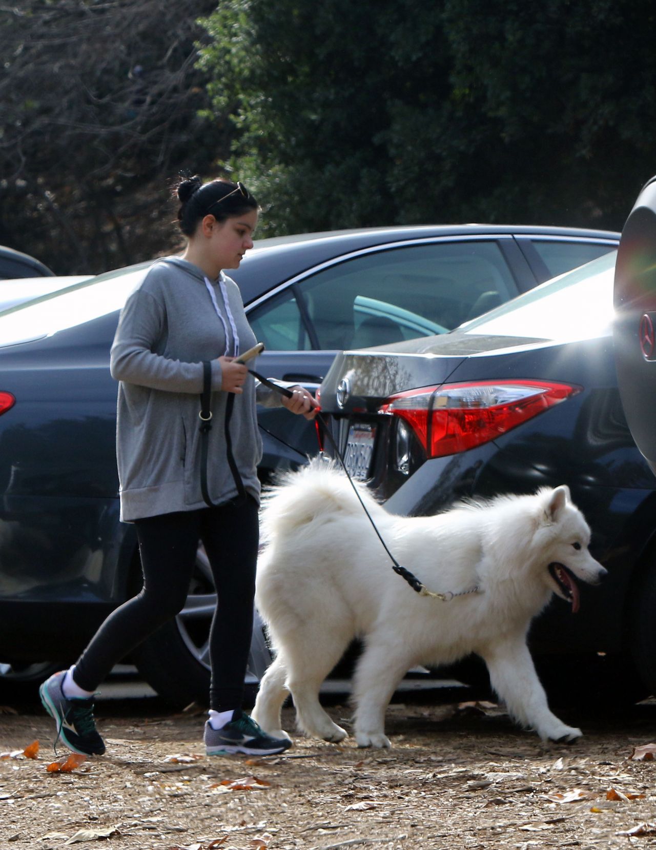 Ariel Winter - Walking Her Dog in Los Angeles, December 2015