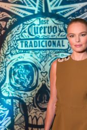 Kate Bosworth - Tradicional Dia de los Muertos Party at The McKittrick Hotel in NYC 11/1/ 2016