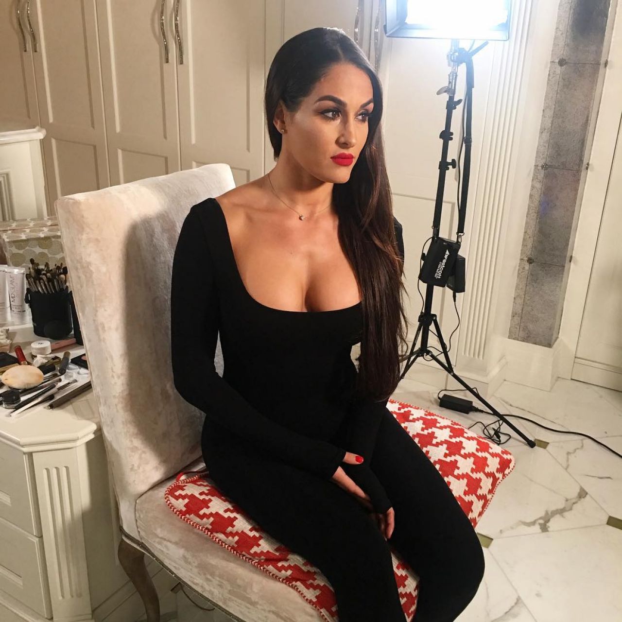 nikki-bella-celebrity-social-media-3-16-2017-3.jpg