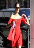 Alessandra Ambrosio - Takes Her Daughter Anja to Ballet Classes in Brentwood