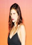 Lake Bell Red Carpet Photos - 2013 Whitney Gala And Studio Party in New York City