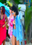 Rihanna in a Bikini at a beach in Barbados - December 2013