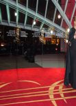 Sharon Stone Attends 13th Marrakesh International Film Festival – Opening Ceremony