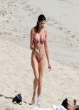 Stephanie Seymour in a Floral Bikini – St Barts December 28, 2013