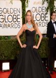 Sofia Vergara on Red Carpet - 2014 Golden Globe Awards