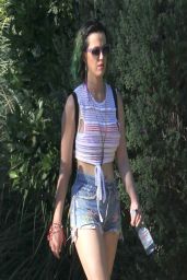 Katy Perry at Coachella - April 2014