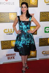 Sarah Silverman – 2014 Critics Choice Television Awards in Beverly Hills