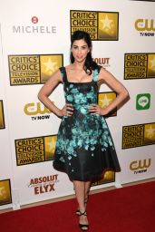 Sarah Silverman – 2014 Critics Choice Television Awards in Beverly Hills