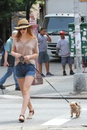 Leighton Meester Walking Her Dog in New York City - July 2014