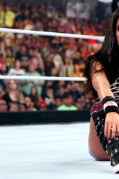 AJ Lee vs. Paige - Divas Championship Match at WWE SummerSlam in Los Angeles
