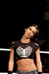 AJ Lee vs. Paige - Divas Championship Match at WWE SummerSlam in Los Angeles