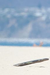 Ali Larter on a Beach in Los Angeles - August 2014