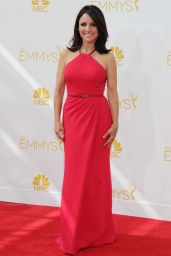 Julia Louis-Dreyfus – 2014 Primetime Emmy Awards in Los Angeles