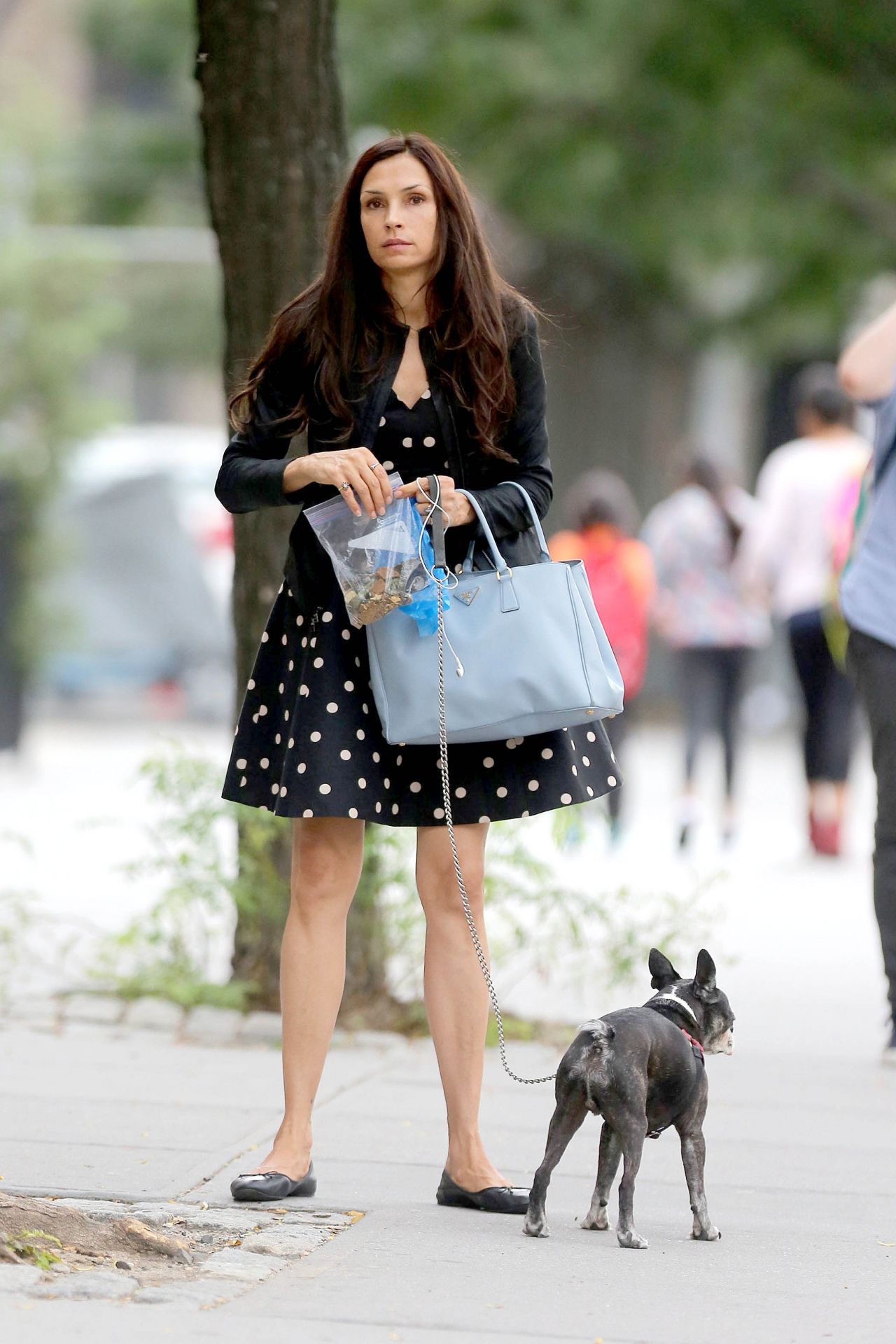 Famke Janssen Goes to the Pet Store with Her Prada Bag and Scruffy