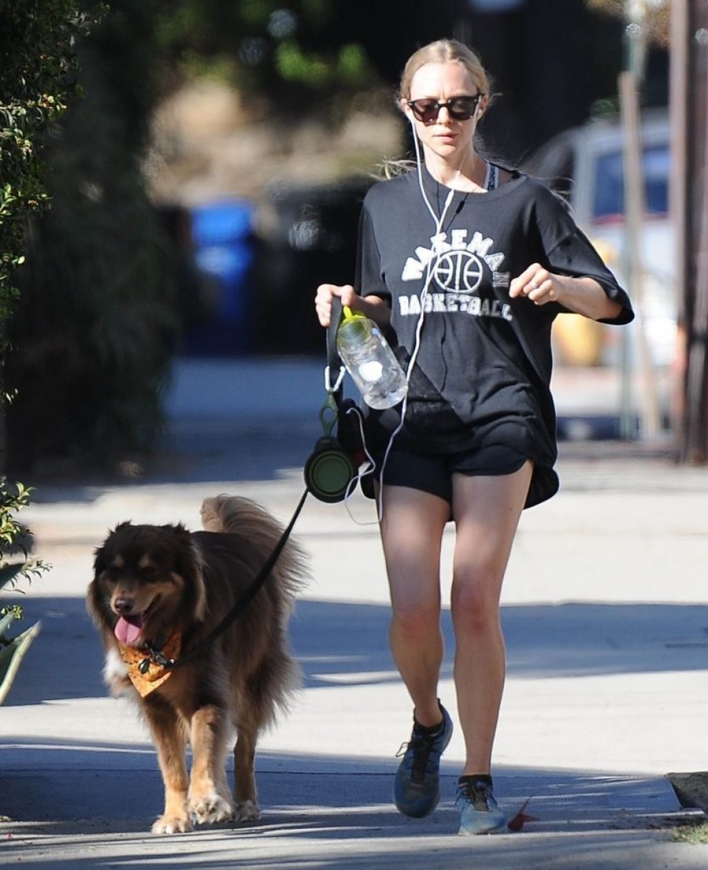 Amanda Seyfried Leggy in Shorts With Her Dog in West Hollywood ...