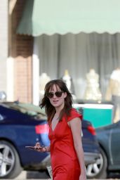 Dakota Johnson and Melanie Griffith - Grabbing lunch Together in Los Angeles