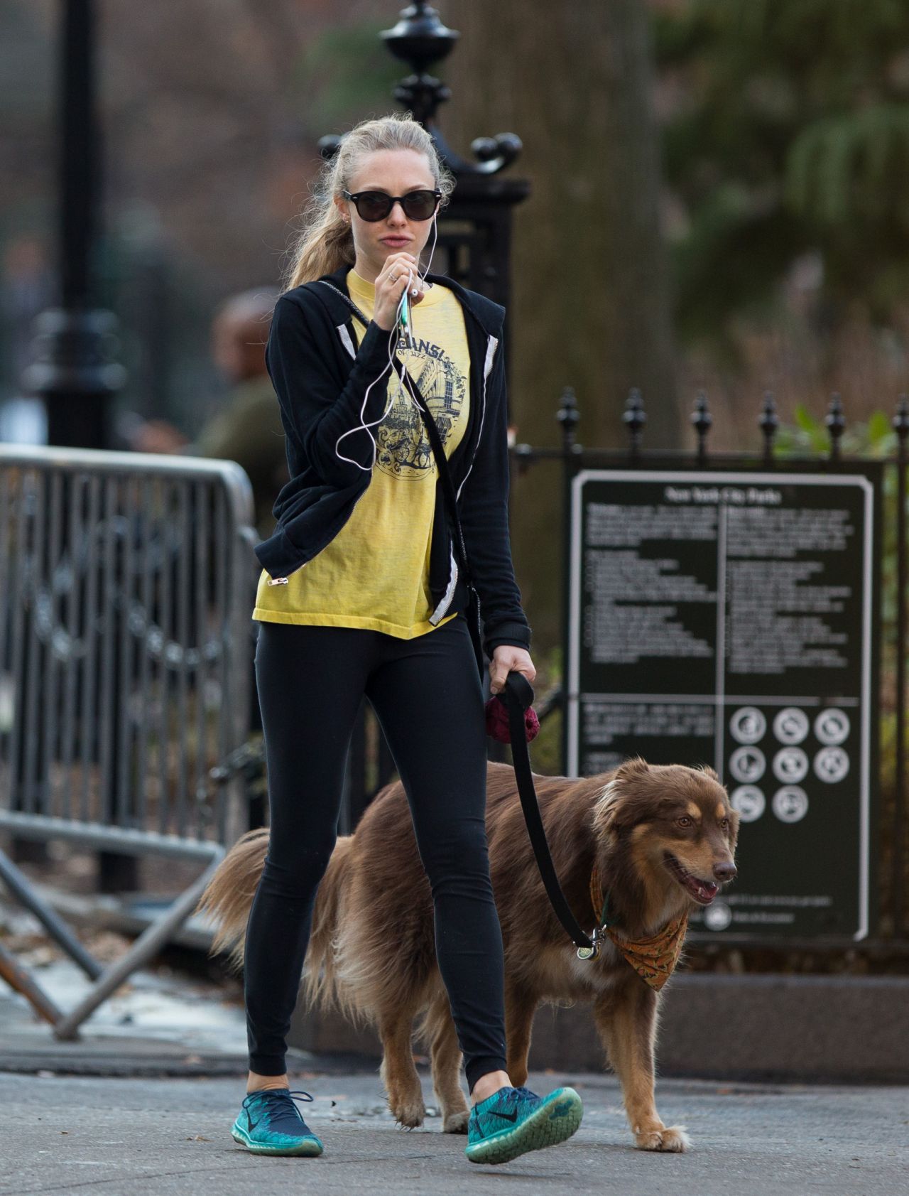Amanda Seyfried in Leggings - Walking Her Dog in New York City - Nov ...