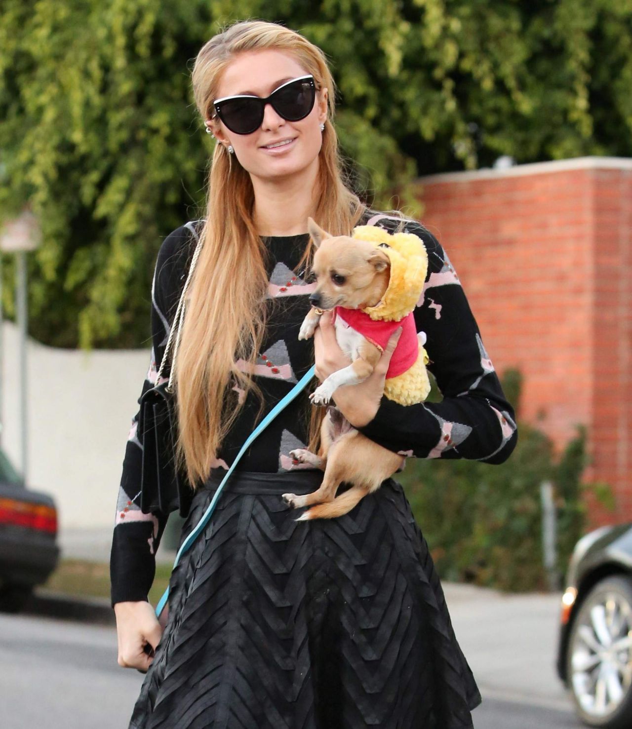Paris Hilton and Her Pomeranian Puppy - November 2014 • CelebMafia