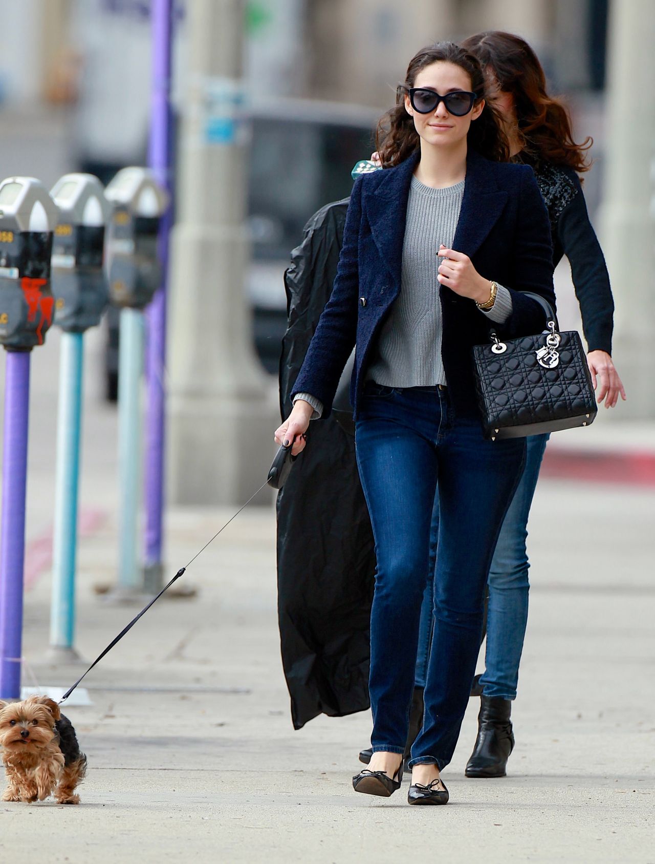 Emmy Rossum Adopts a New Dog with an A.L.C. Bag at Her Side - PurseBlog