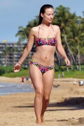 Olivia Wilde Bikini Pics - Maui, Hawaii, on December 2014
