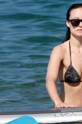 Olivia Wilde Bikini Pictures - at a Beach in Maui, December 2014