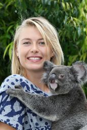 Maria Sharapova - Poses With a Koala Named 