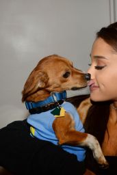 Ariana Grande - BADASS Brooklyn Animal Rescue Adoption Event in New York City