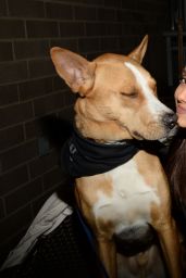 Ariana Grande - BADASS Brooklyn Animal Rescue Adoption Event in New York City