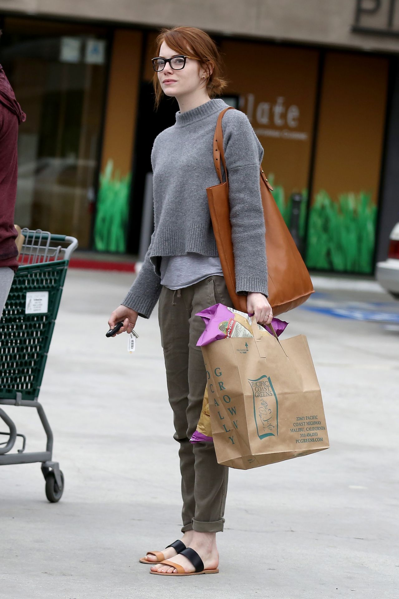 Emma Stone - Grocery Shopping in Malibu, March 2015 • CelebMafia