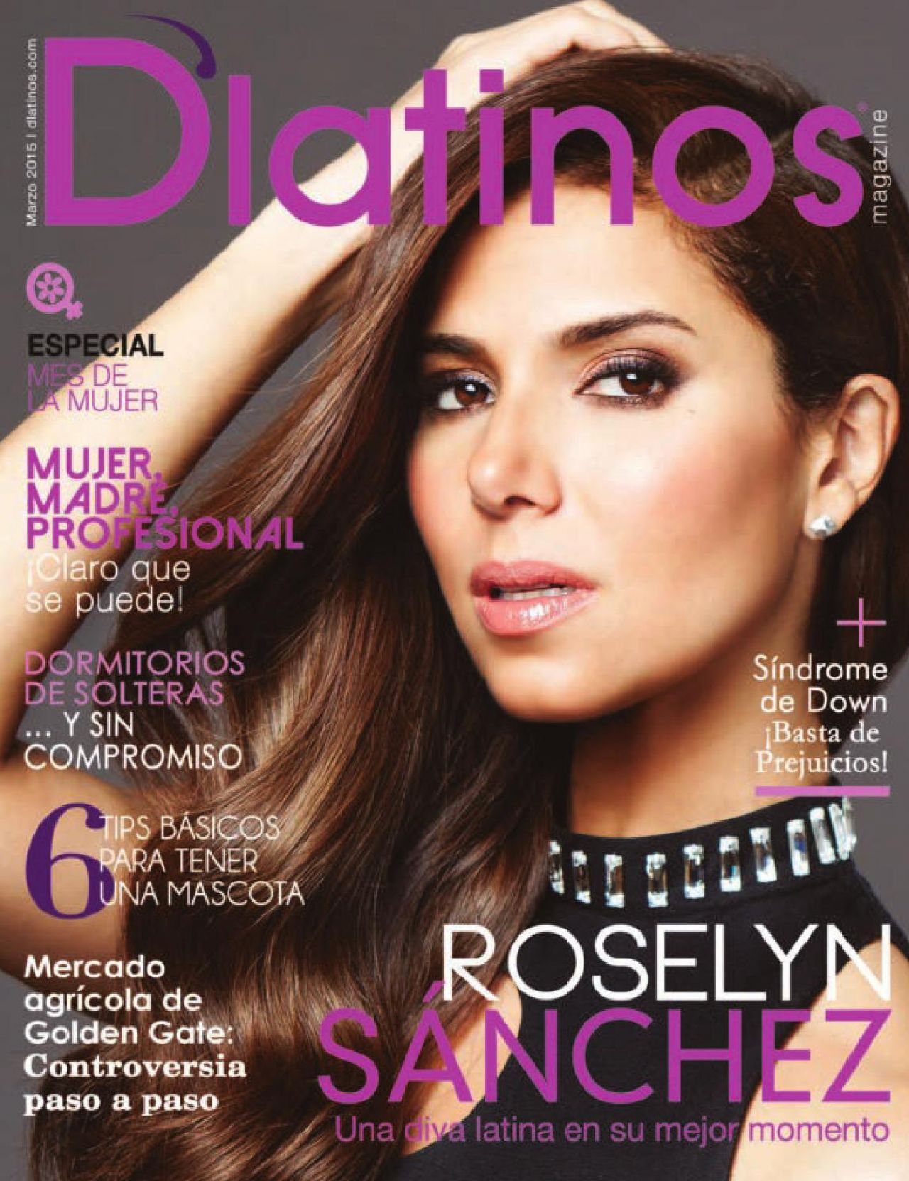 Roselyn Sanchez - D'Latinos Magazine March 2015 Issue • CelebMafia