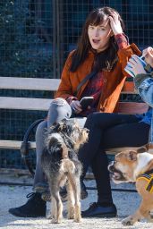 Dakota Johnson - Out With Her Dog in NYC, April 2015