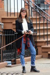 Dakota Johnson - Walking Her Dog in New York City, April 2015