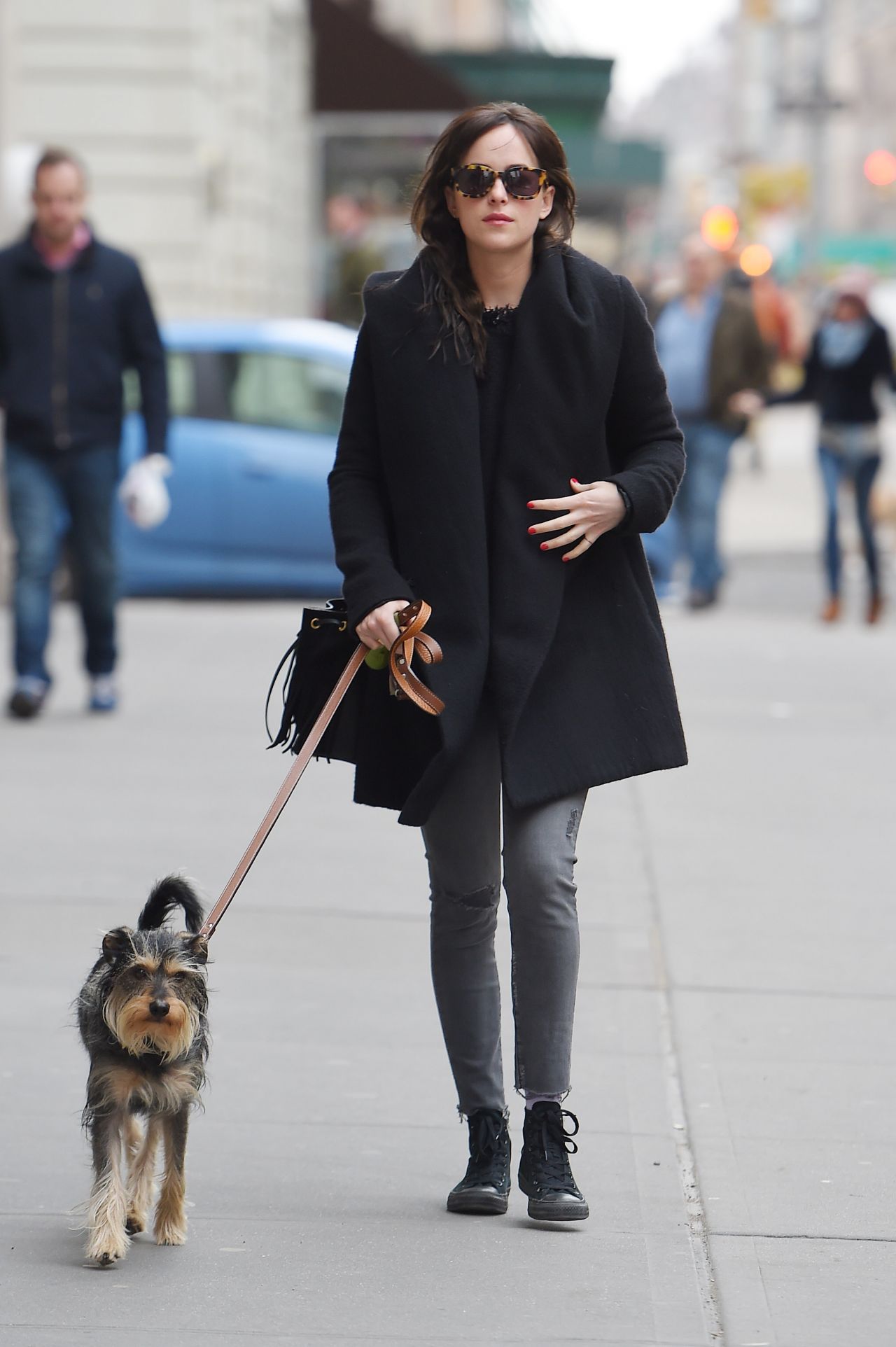 Dakota Johnson Walks Her Dog in New York City, March 2015 • CelebMafia