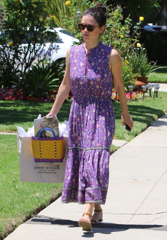 Rachel Bilson - Out in Beverly Hills, July 2015