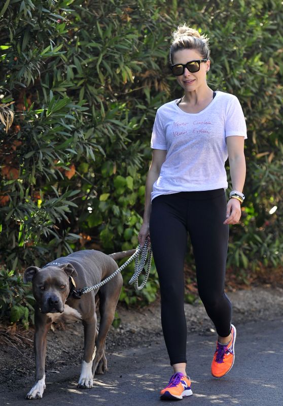 Sophia Bush Walking her Dog in Los Angeles, July 2015