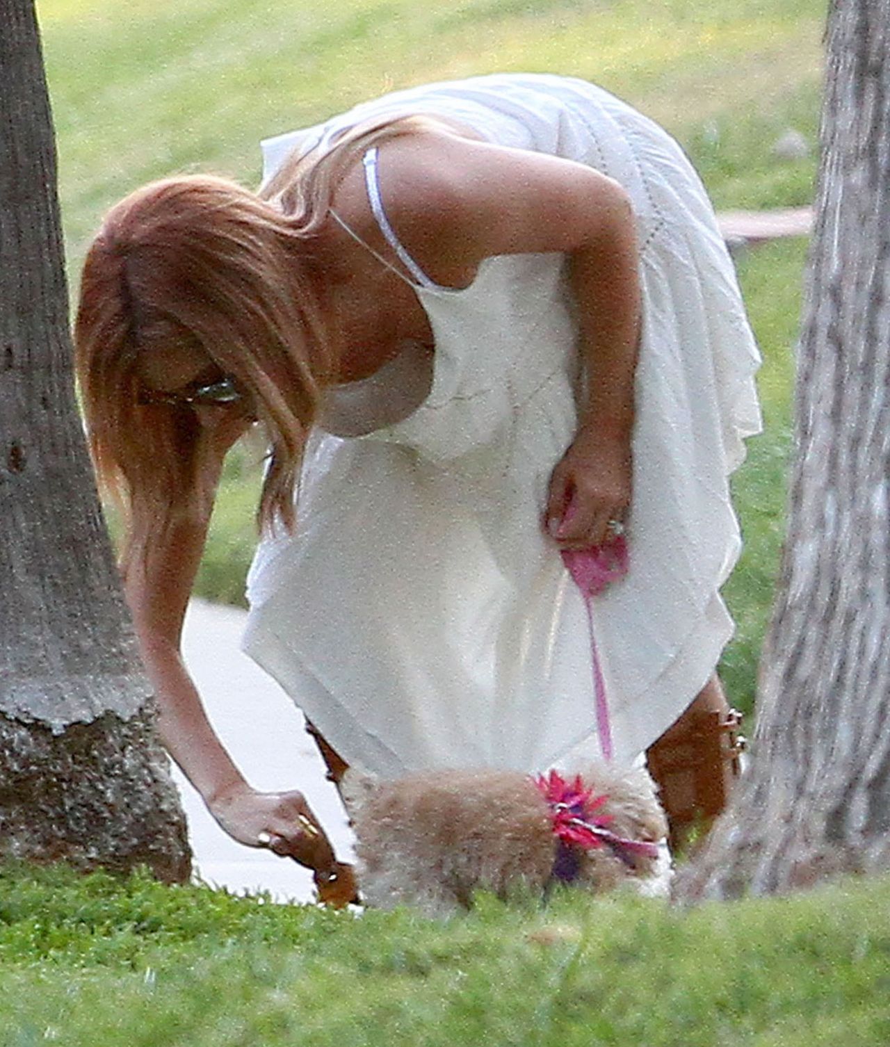 Ashley Tisdale - Walking her Dog in Beverly Hills, August 20