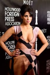 Sarah Silverman - 2015 Hollywood Foreign Press Association Grants Banquet in Beverly Hills