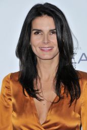 Angie Harmon – 2015 ELLE Women in Hollywood Awards in Los Angeles
