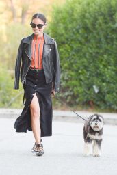 Jamie Chung - Walking Her Dog in Los Angeles, November 2015