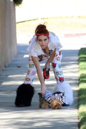 Phoebe Price - Walks Her Dog in Encino, California, November 2015