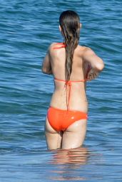 Olivia Wilde in a Bikini - Beach in Hawaii, 12/12/2015 