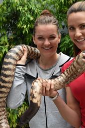 Agnieszka Radwanska Holding a Python Snake - Melbourne 1/21/2016
