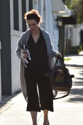 Andie MacDowell - Running Errands With Her Dog in West Hollywood 1/26/2016