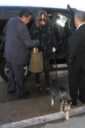 Dakota Johnson With her Dog at LAX in Los Angeles 1/7/2016 
