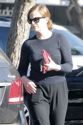 Amy Poehler - Out Grocery Shopping at Bristol Farms in West Hollywood, CA 4/20/2016