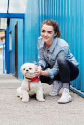Maisie Williams - The Pet Collective Photoshoots 2016