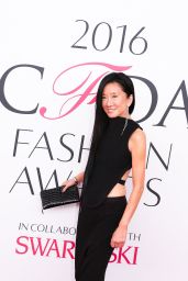 Vera Wang – CFDA Fashion Awards in Hammerstein Ballroom, New York City 6/6/2016
