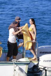 Dakota Johnson in Yellow Bikini - 