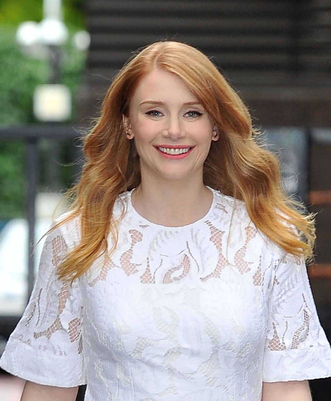 Top 91+ Images pictures of bryce dallas howard Superb