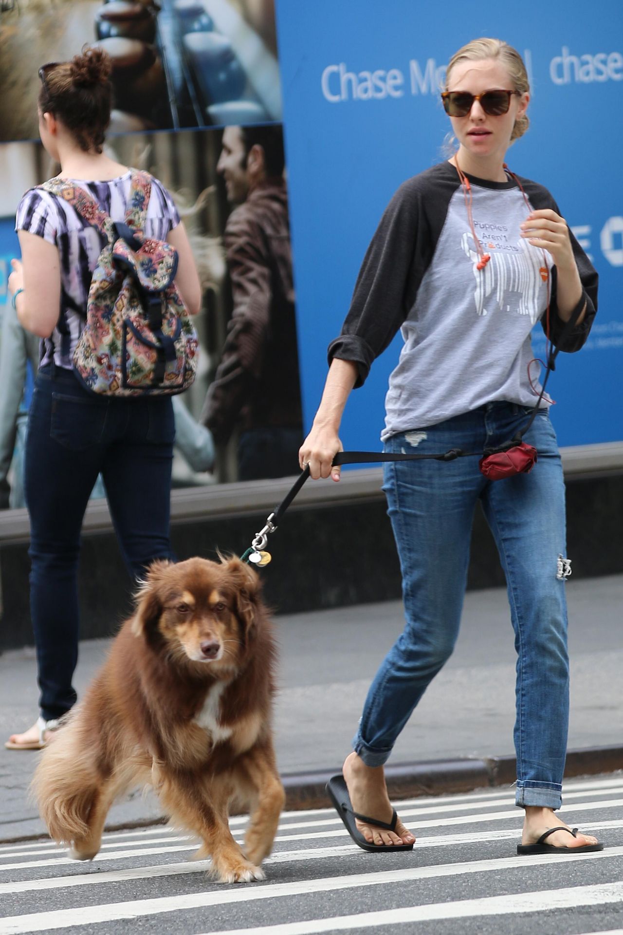 Amanda Seyfried - Walking Her Dog in New York City 9/5/2016 • CelebMafia